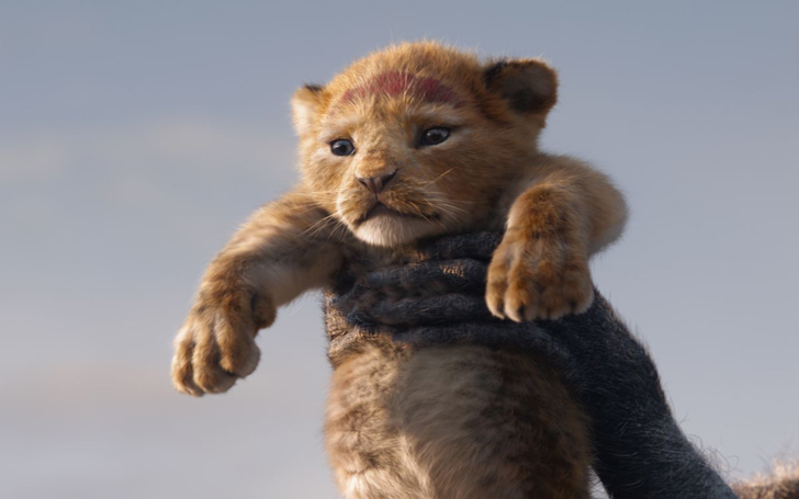 Grab All The Details Of The Precious Lion Cub Disney Used In The Lion King As Inspiration For Simba