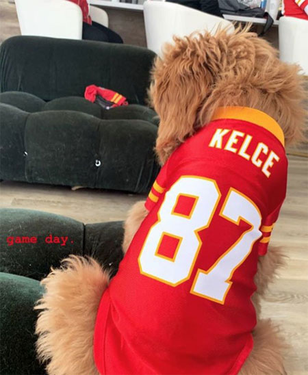 patrick mahomes dog jersey