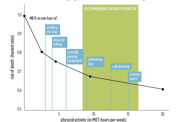 Physical Activity Ratio Chart