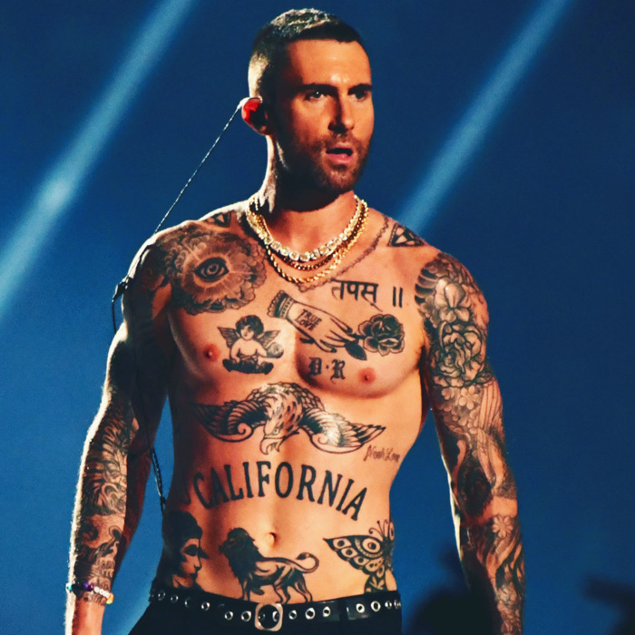 Adam Levine That Body Of Yours Template