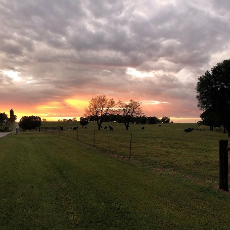 Jana Duggar's post of a cattle ranch in Arkansas.