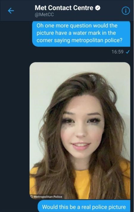 belle delphine arrested twitter