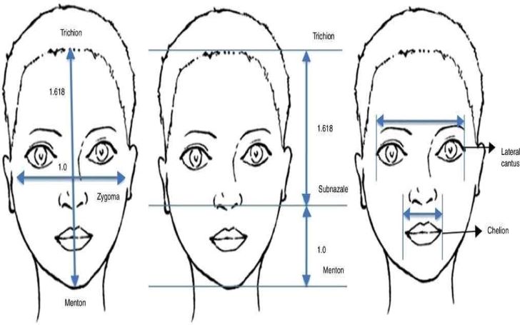 The Golden Ratio of Beauty Phi - How Does it Work?