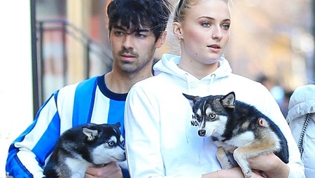 Joe Jonas and wife, Sophie Turner holding a Husky on their respective arms.