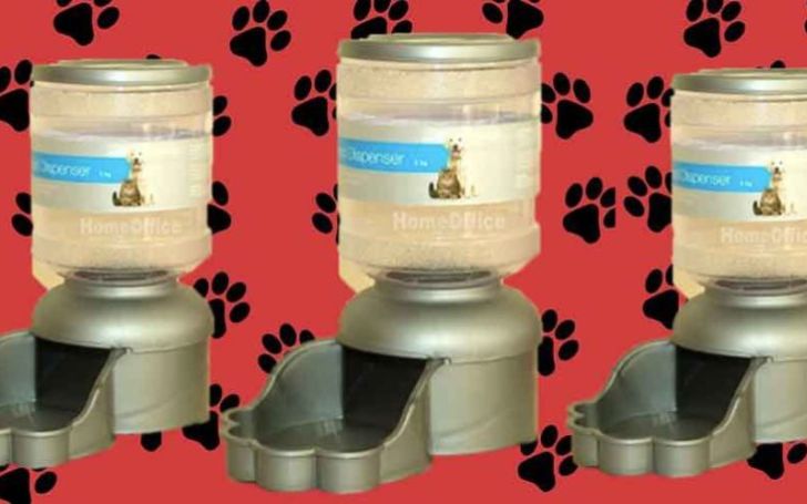 Home Bargains Is Selling A Pet Water Dispenser