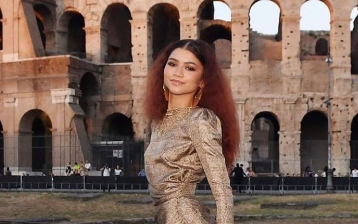 Who Are Zendaya's Parents? Grab All The Details Of Her Siblings And Family!