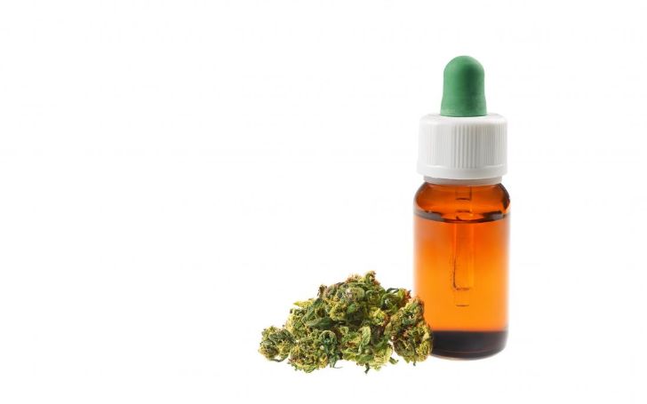 Everything You Need To Know About CBD Oil; Get All The Details Here!