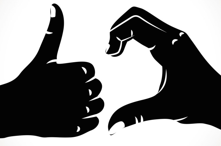 The Friendzone logo. One hand giving a thumbs-up and the other giving half a love symbol.