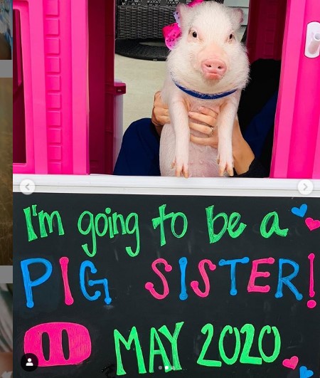 Jenna Cooper's pet pig, Princess Pearl.