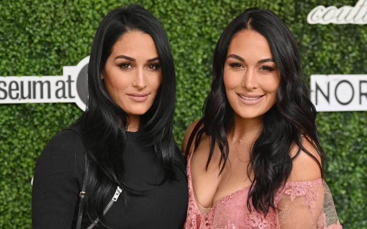 Nikki and Brie Bella Pregnant - The Total Bellas Sisters are Pregnant ...