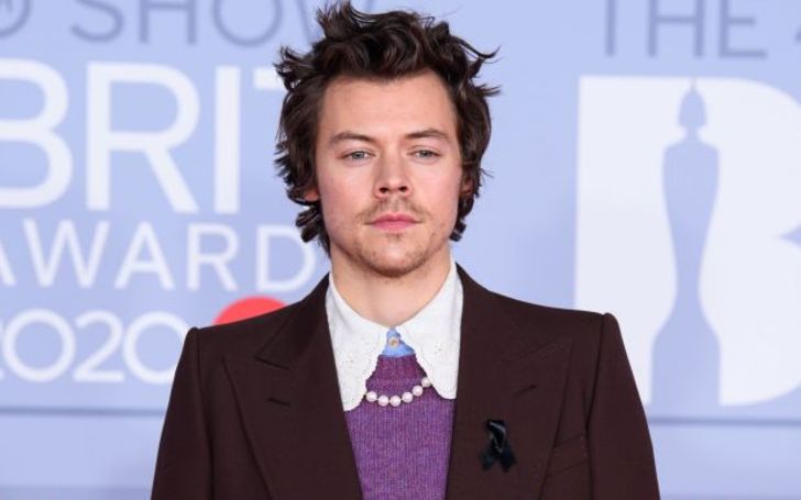 Harry Styles is All Right After Being Mugged at Knifepoint