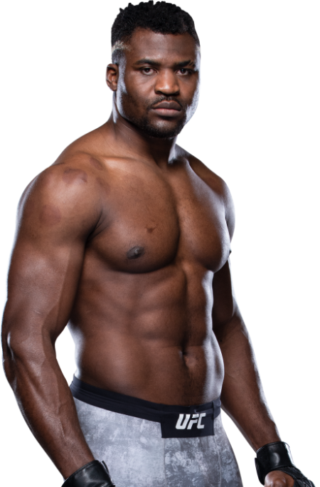 Francis Ngannou is #2 in the 2020 UFC heavyweight rankings.