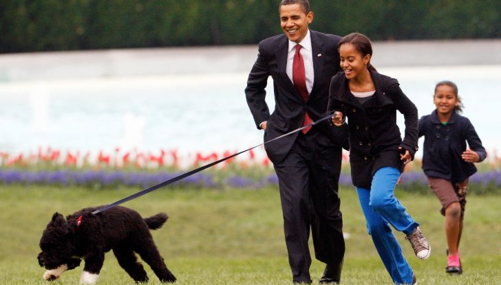 Bo, the Obamas' Family Dog Dies Following Battle With Cancer