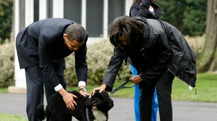 Barack Obama and Michelle Obama with Bo. 