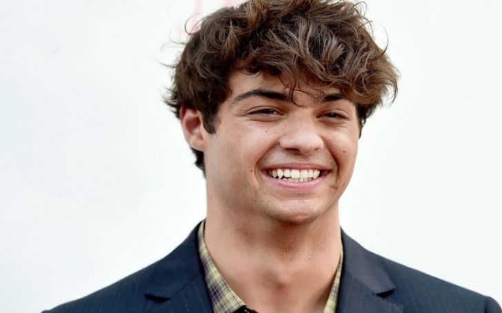 What is Noah Centineo's Net Worth in 2021? Learn About His Earnings and ...