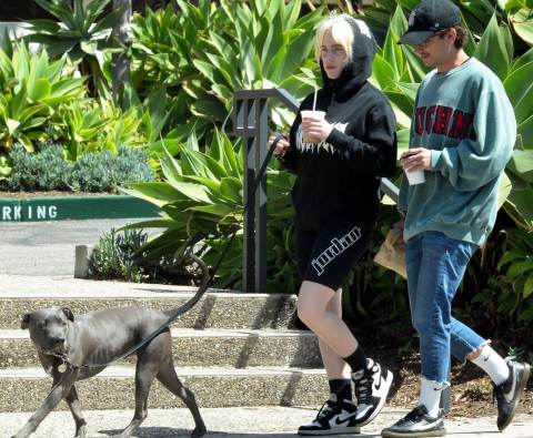 Billie Eilish broke up with TV Actor, Matthew Tyler Vorce