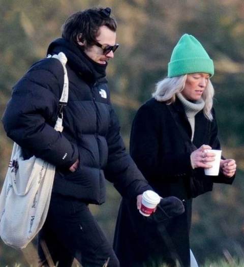 Is Harry Styles Dating Ellis Calcutt