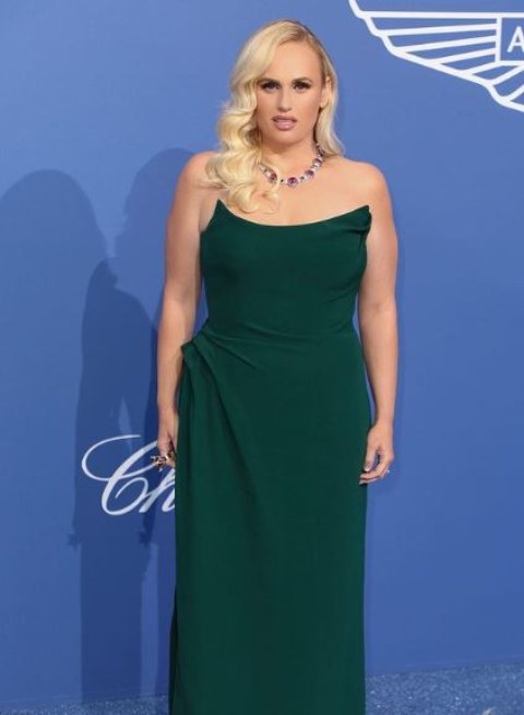 Rebel Wilson has net worth of $22 Million as of 2023