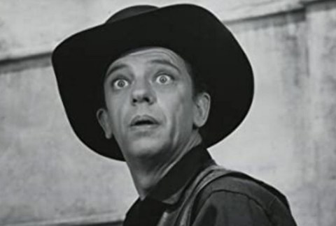 Don Knotts passed away in 2006