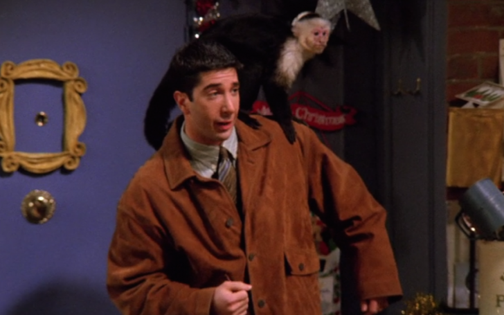 Ross Geller’s Marcel The Monkey From FRIENDS Was Actually A Girl