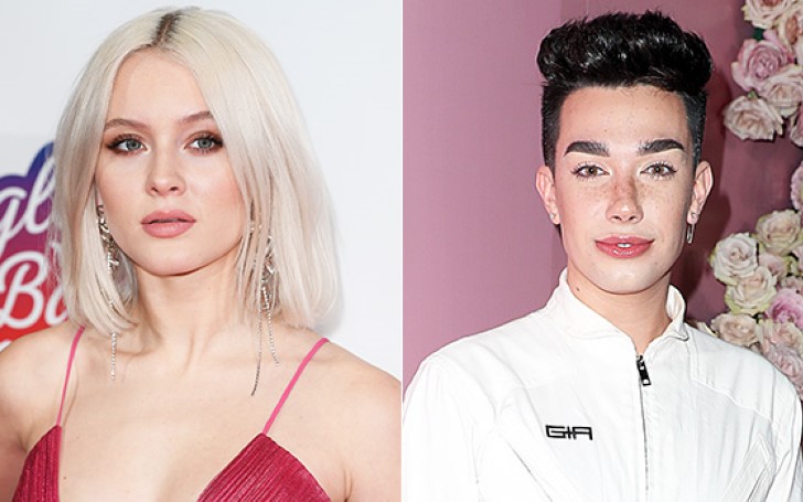 Zara Larsson Claims James Charles Sent Her Boyfriend Brian Whittaker Direct Messages When He Knew He Was Straight