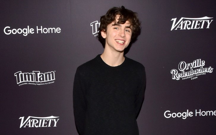 Timothee Chalamet' Movie "Beautiful Boy" is Extremely Important