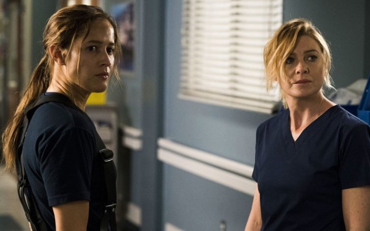 Grey's Anatomy Set For Dramatic Crossover with Station 19 This Season