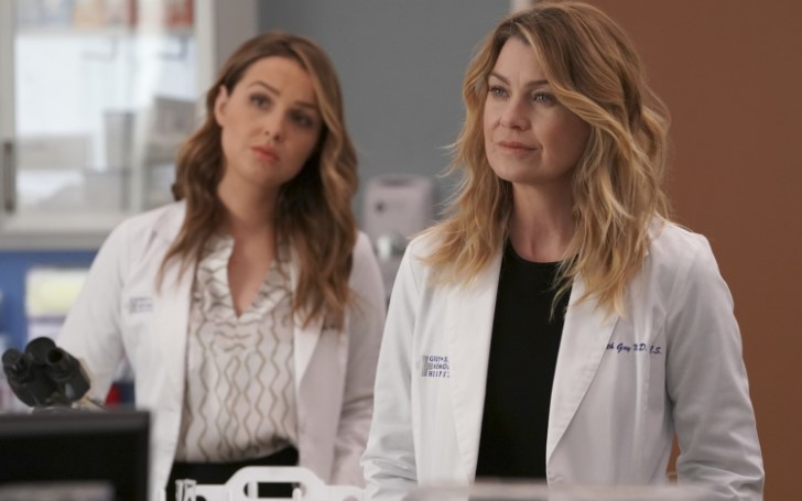 Grey's Anatomy Star Says 'A Lot' Of Surprises Are In Store For Fans In The Season 15 Finale